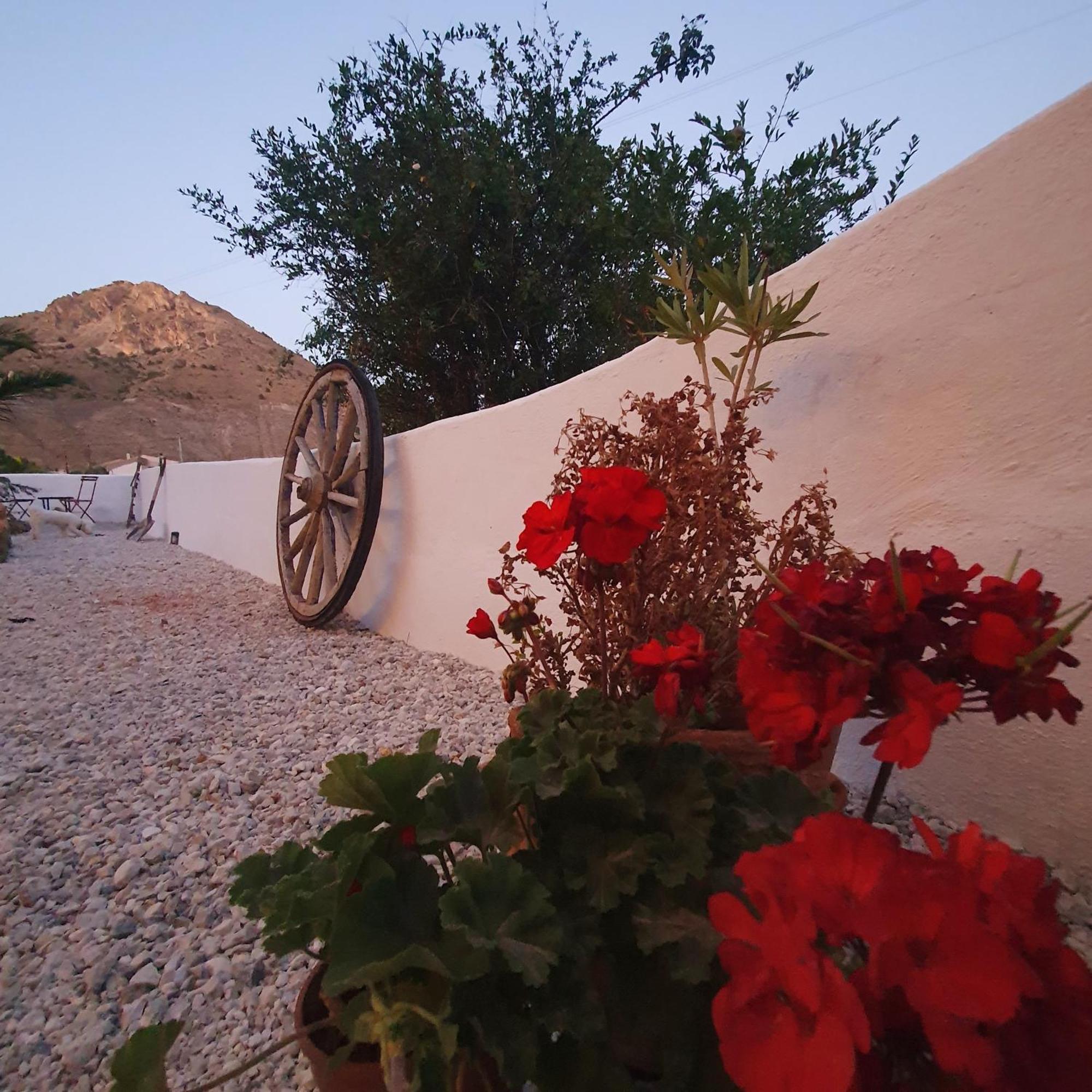 Bed and Breakfast Casa Satori Oria Екстер'єр фото